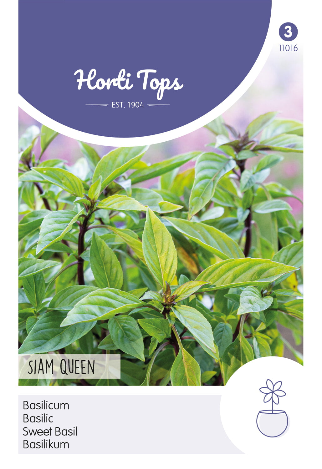 Horti Tops Basilikum Siam Queen