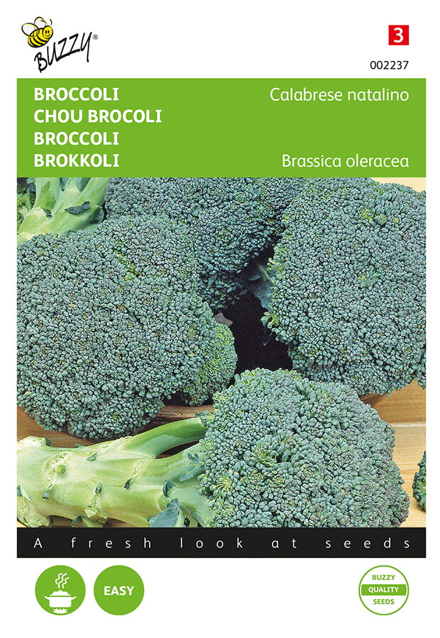 Buzzy Seeds Brokkoli Calabrese natalino