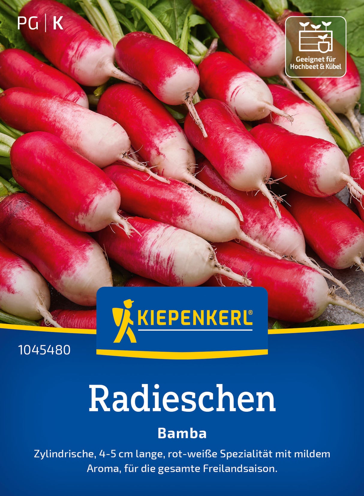 Kiepenkerl Radieschen Bamba