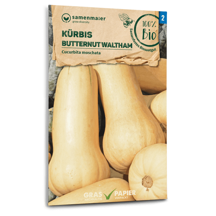 Samen Maier BIO Kürbis Butternut