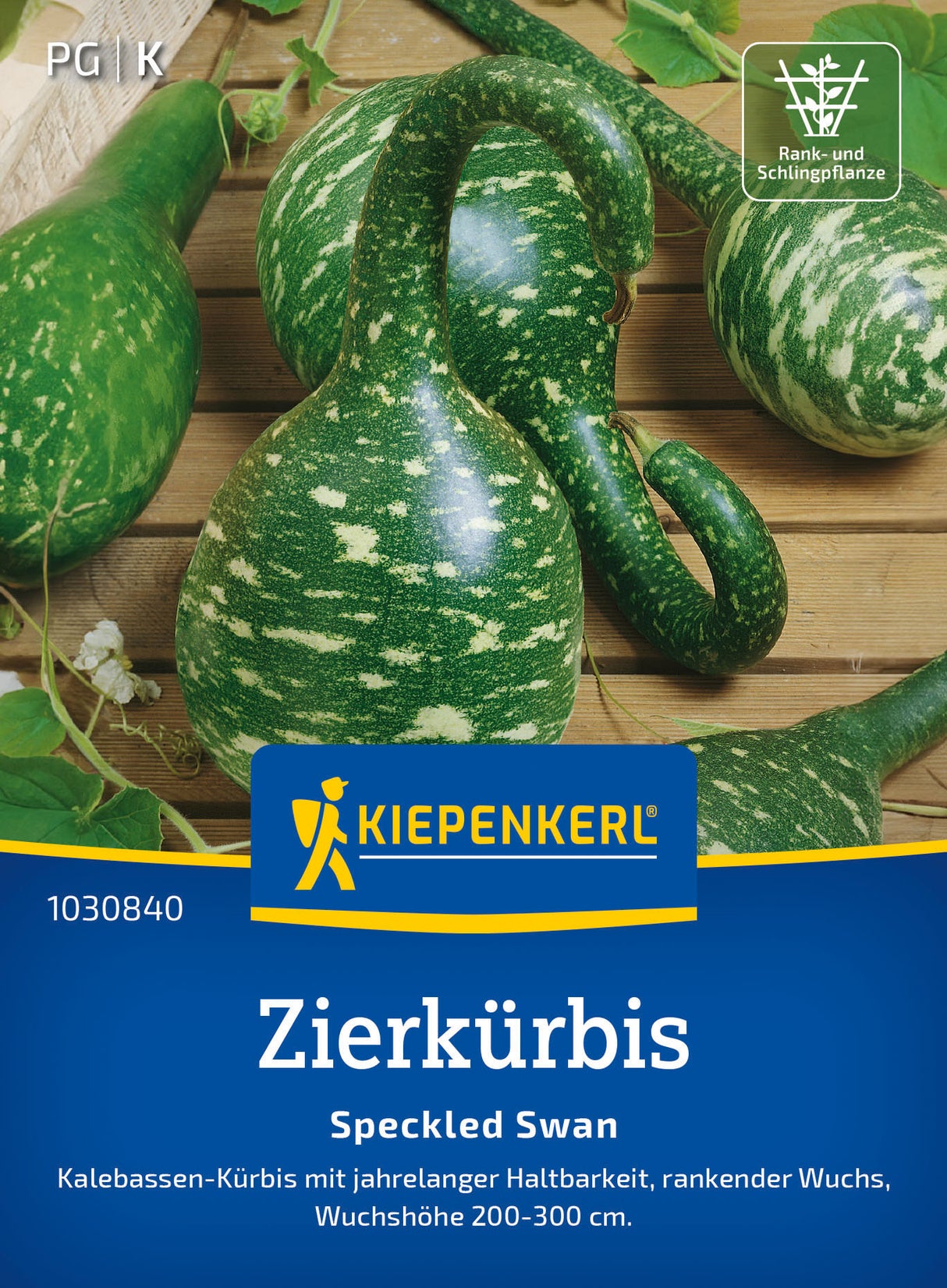 Kiepenkerl Kürbis Speckled Swan
