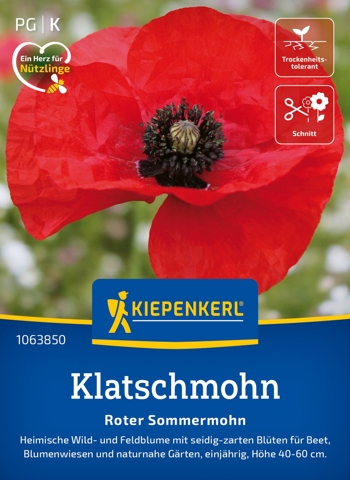 Kiepenkerl Mohn Roter Sommermohn