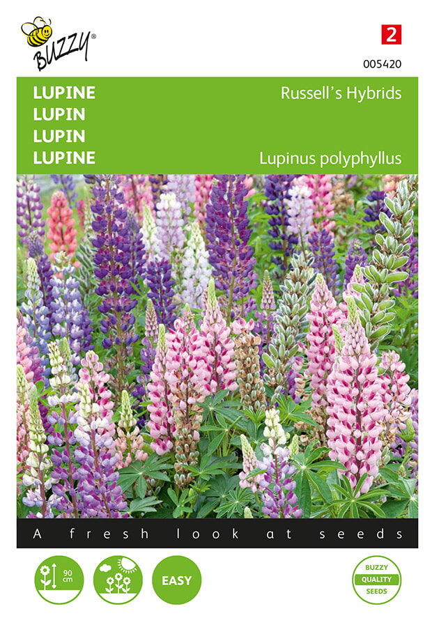 Buzzy Seeds Lupinen Russell’s Hybride Mischung