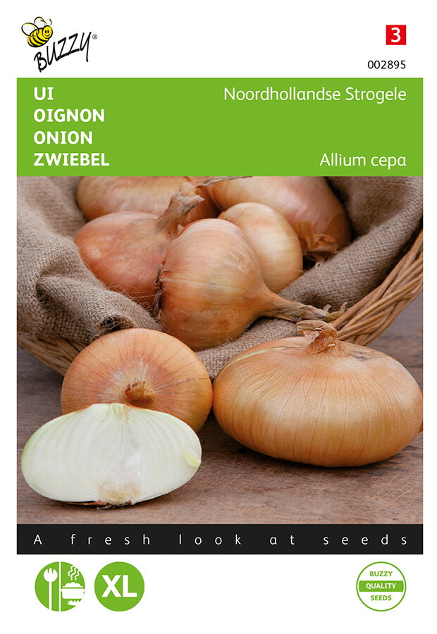 Buzzy Seeds Zwiebel Stuttgarter