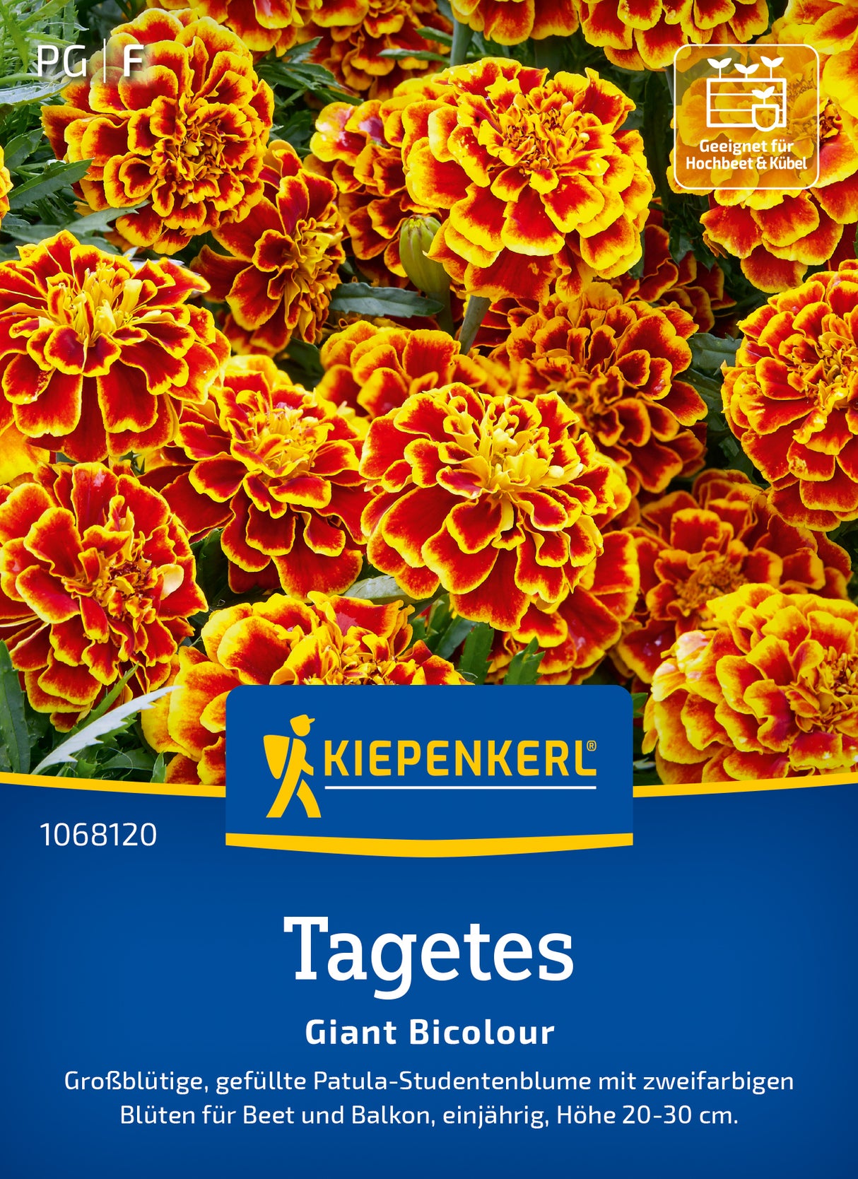 Kiepenkerl Studentenblumen Giant Bicolour