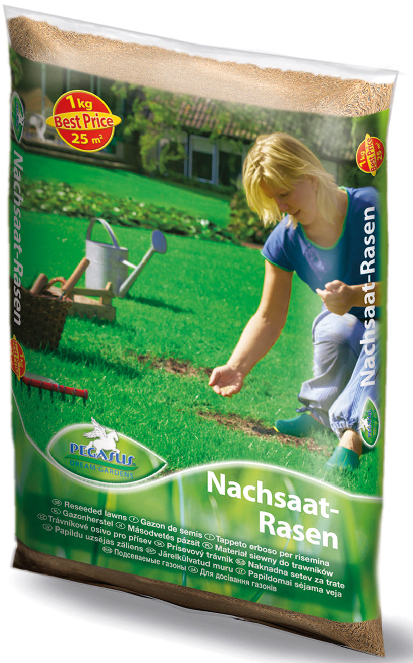 Pegasus Nachsaat-Rasen, 1 kg