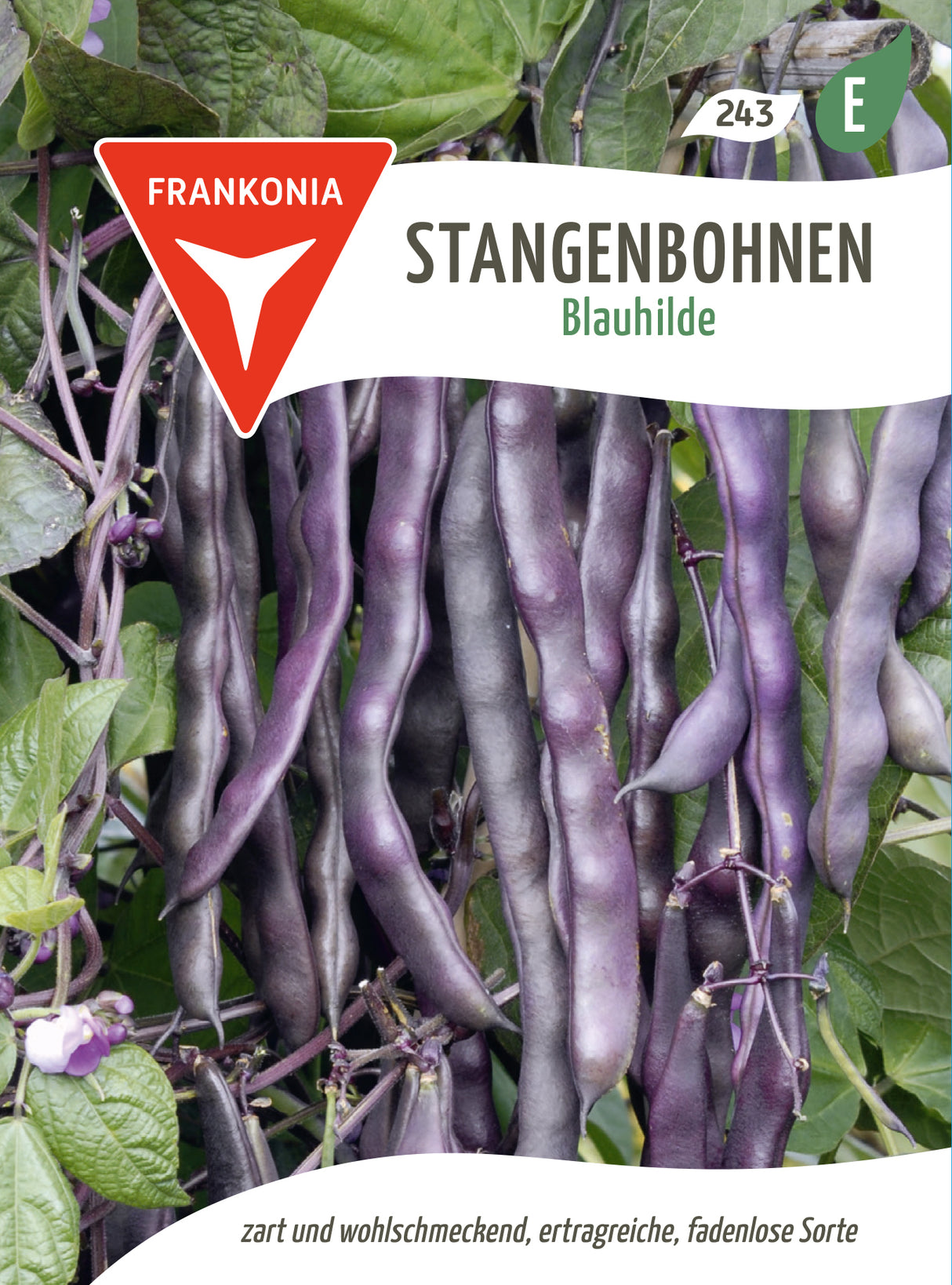 Frankonia Samen Stangenbohnen Blauhilde