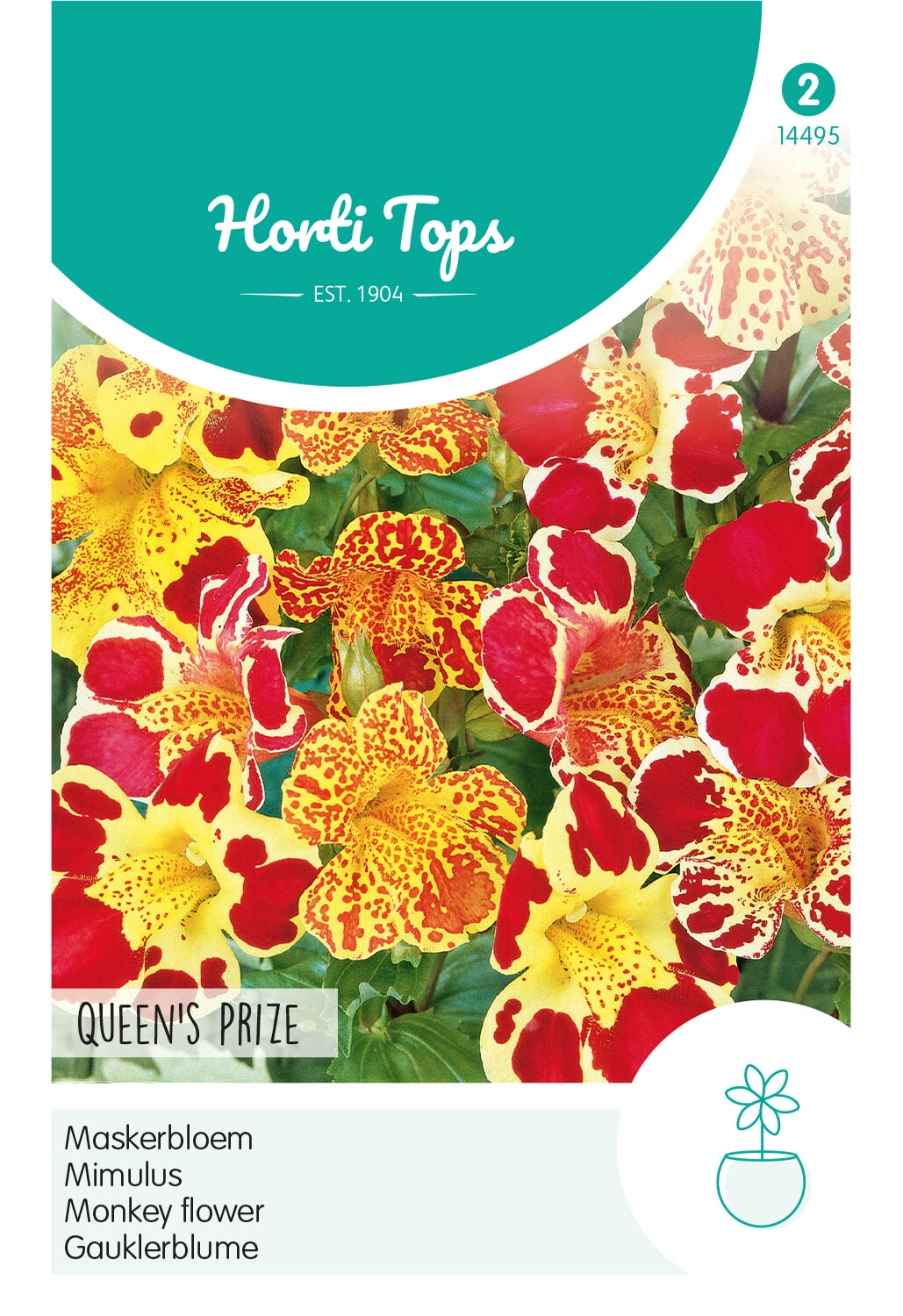 Horti Tops Gauklerblume Tigrinus Großblütige Hybride Mischung