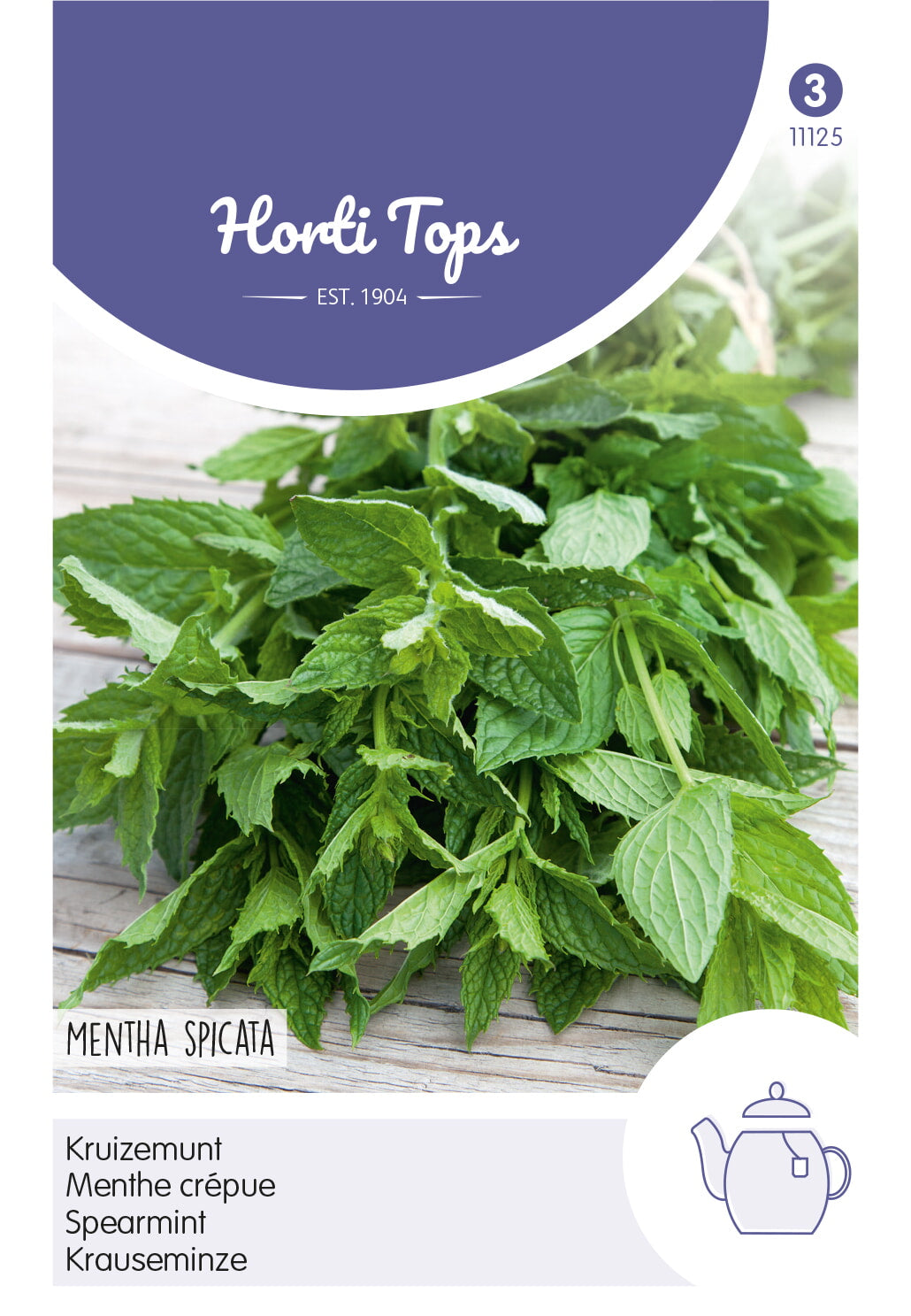 Horti Tops Minze Krauseminze
