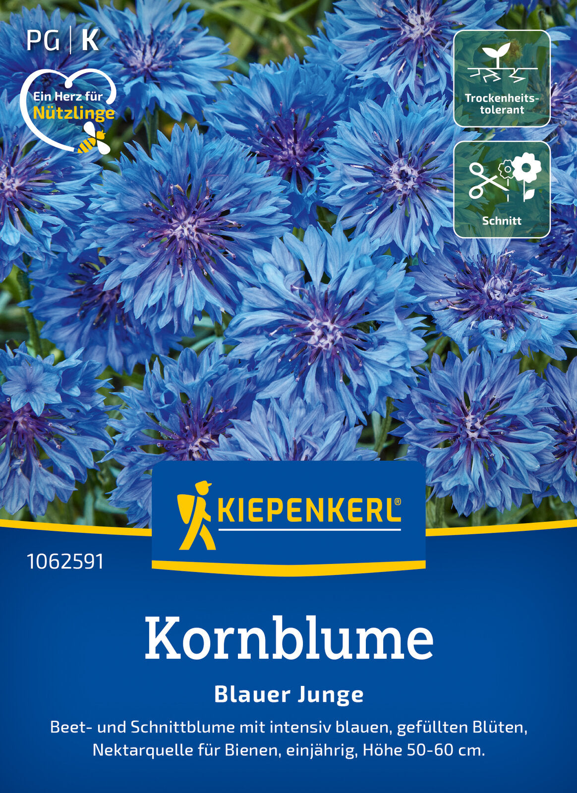 Kiepenkerl Kornblumen Blauer Junge