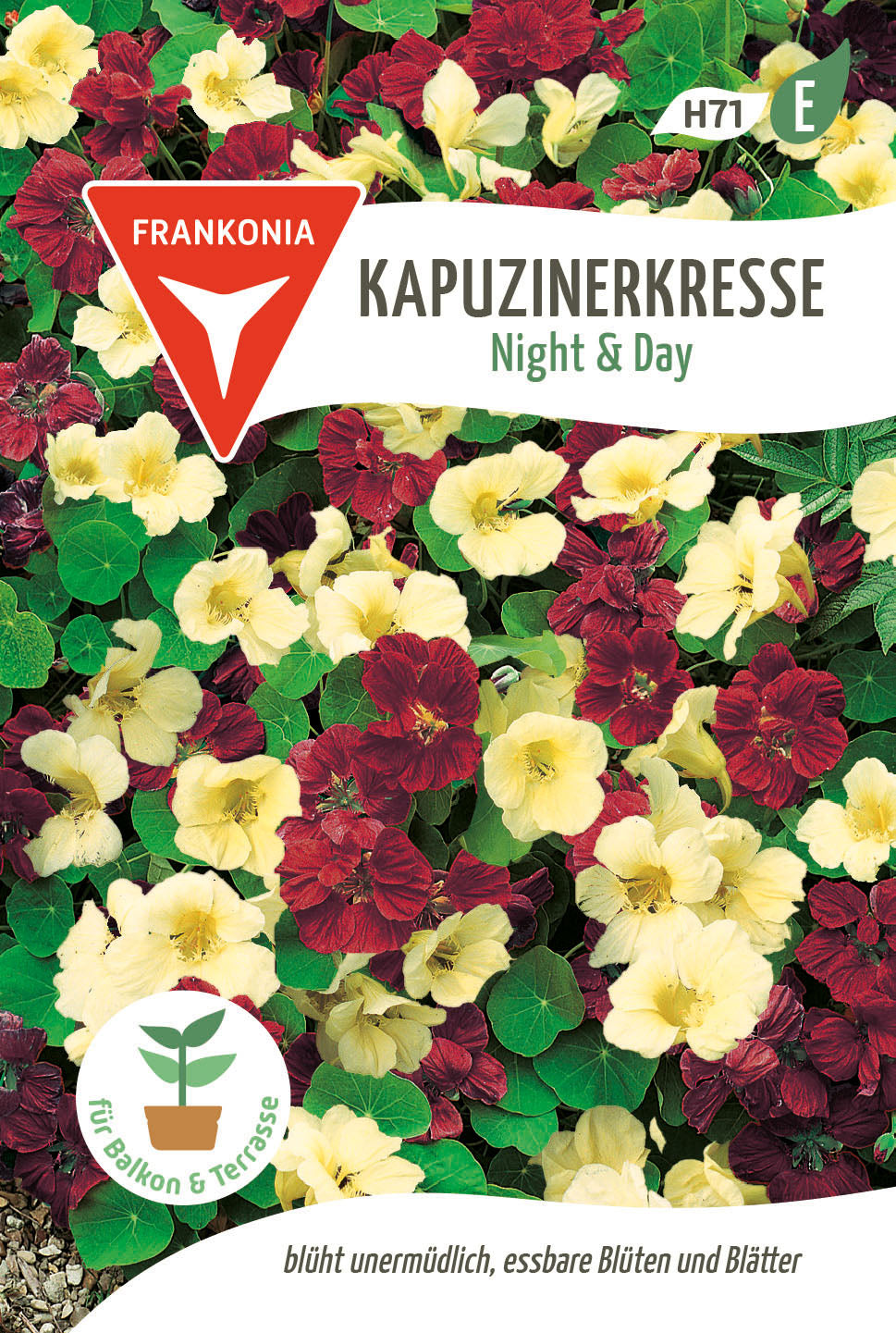 Frankonia Samen Kapuzinerkresse Night & Day
