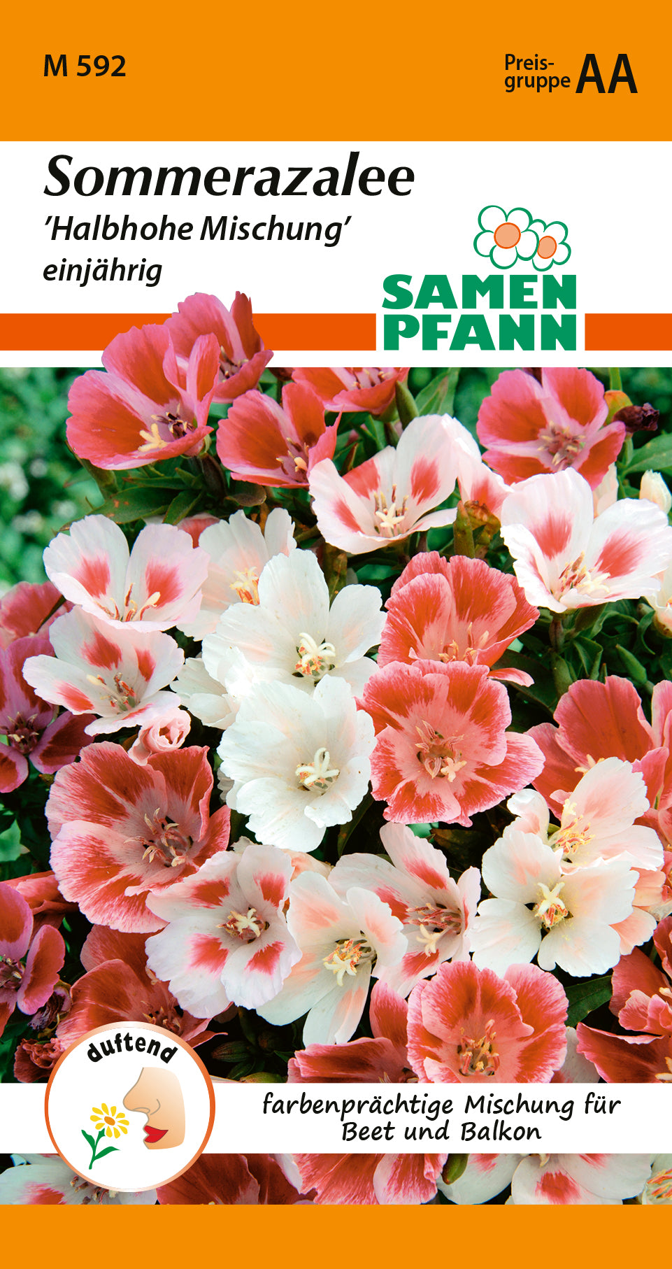 Samen Pfann Halbhohe Mischung Sommerazalee