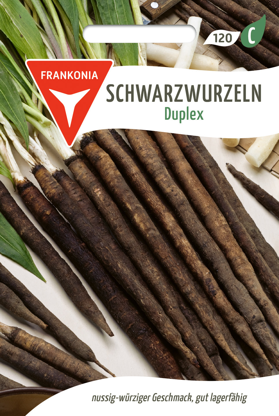Frankonia Samen Schwarzwurzel Duplex
