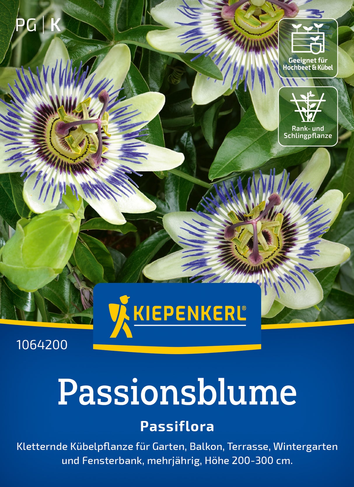 Kiepenkerl Passionsblume Passiflora