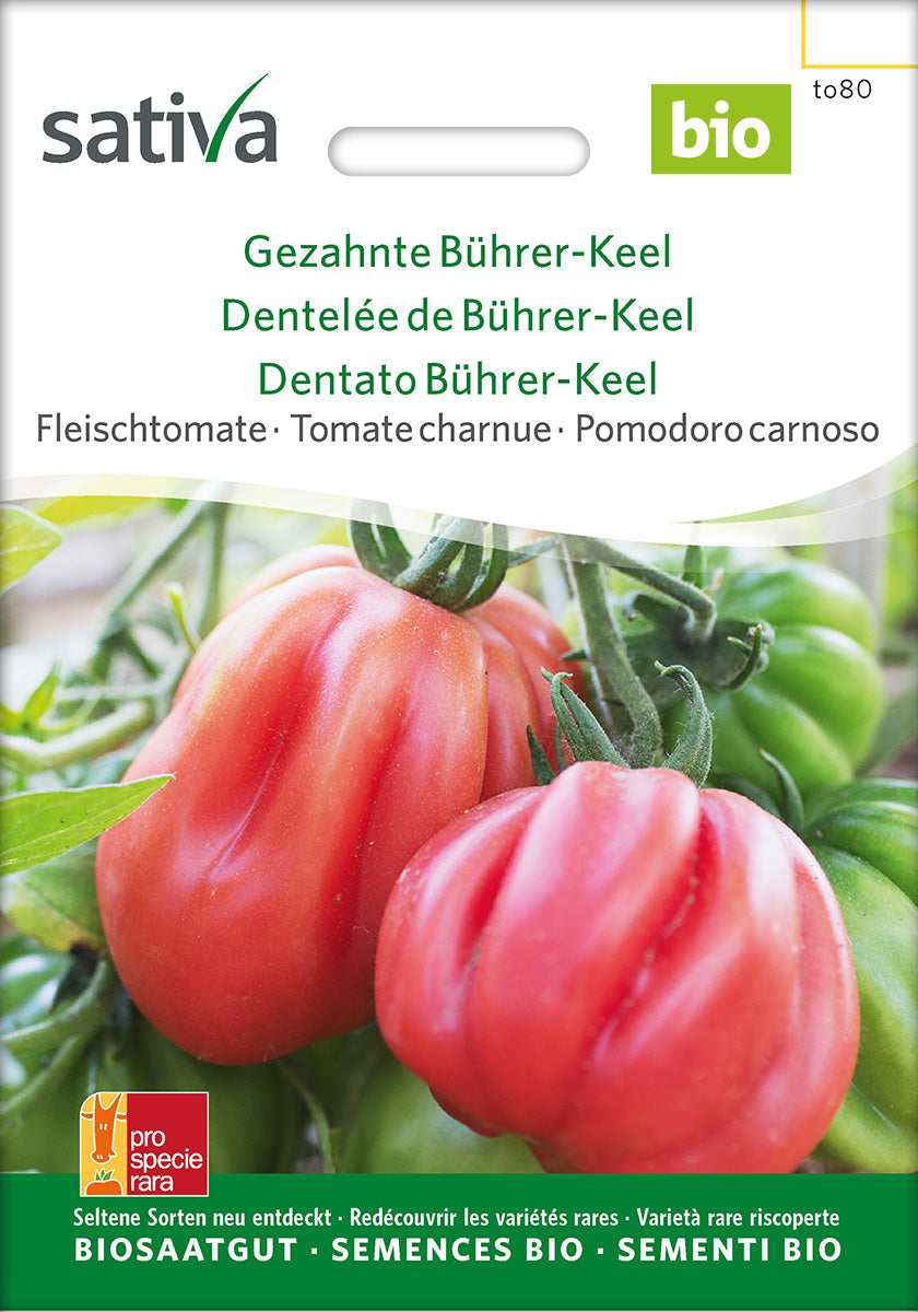 Sativa Fleischtomate Gezahnte Bührer-Keel