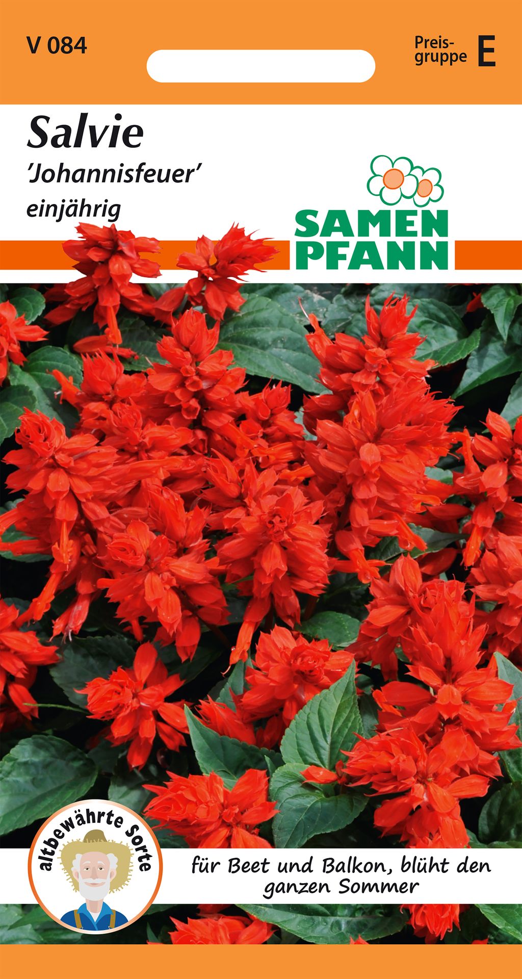 Samen Pfann Johannisfeuer Salvie