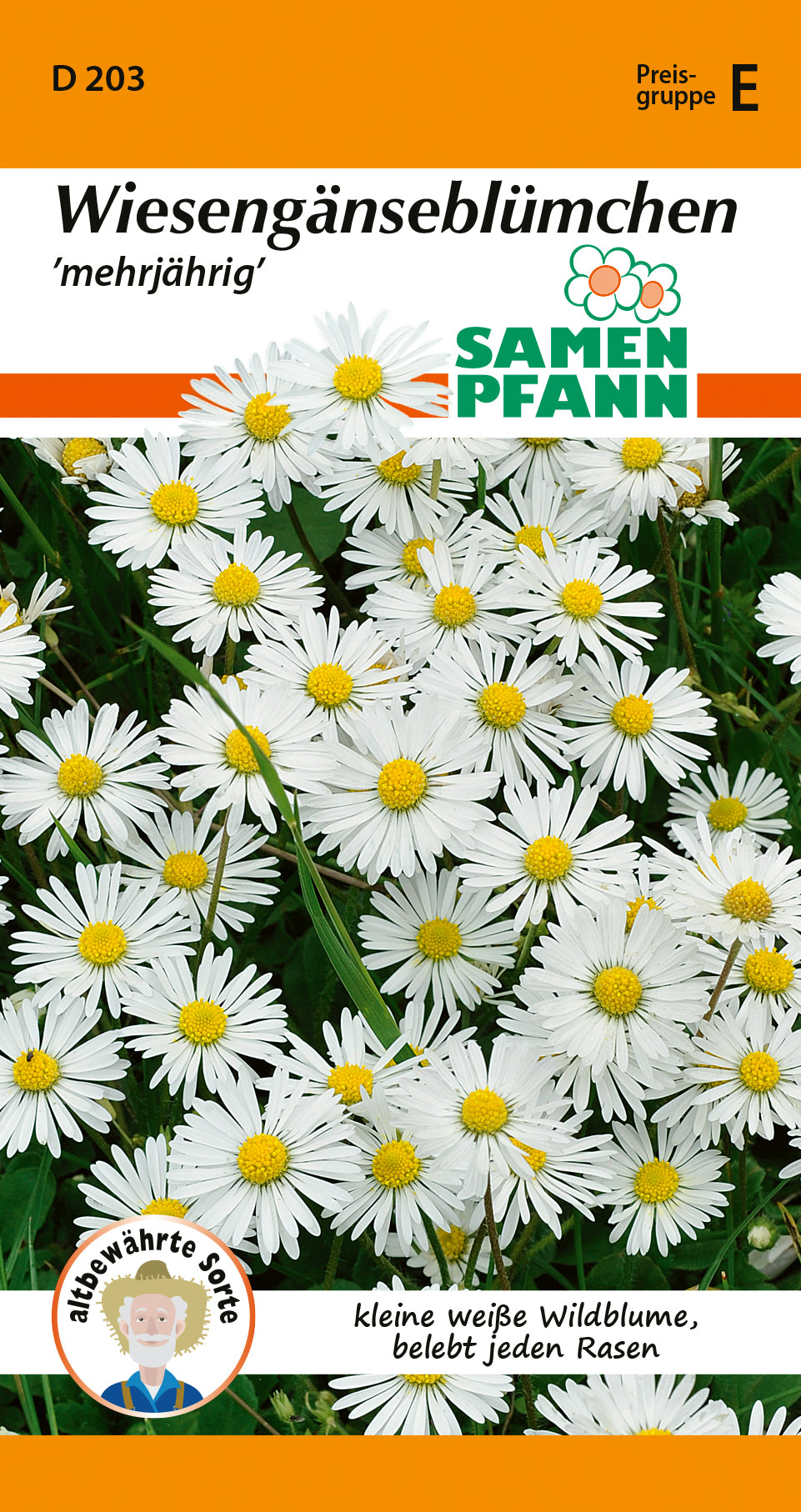 Samen Pfann Wiesengänseblümchen Mehrjährig