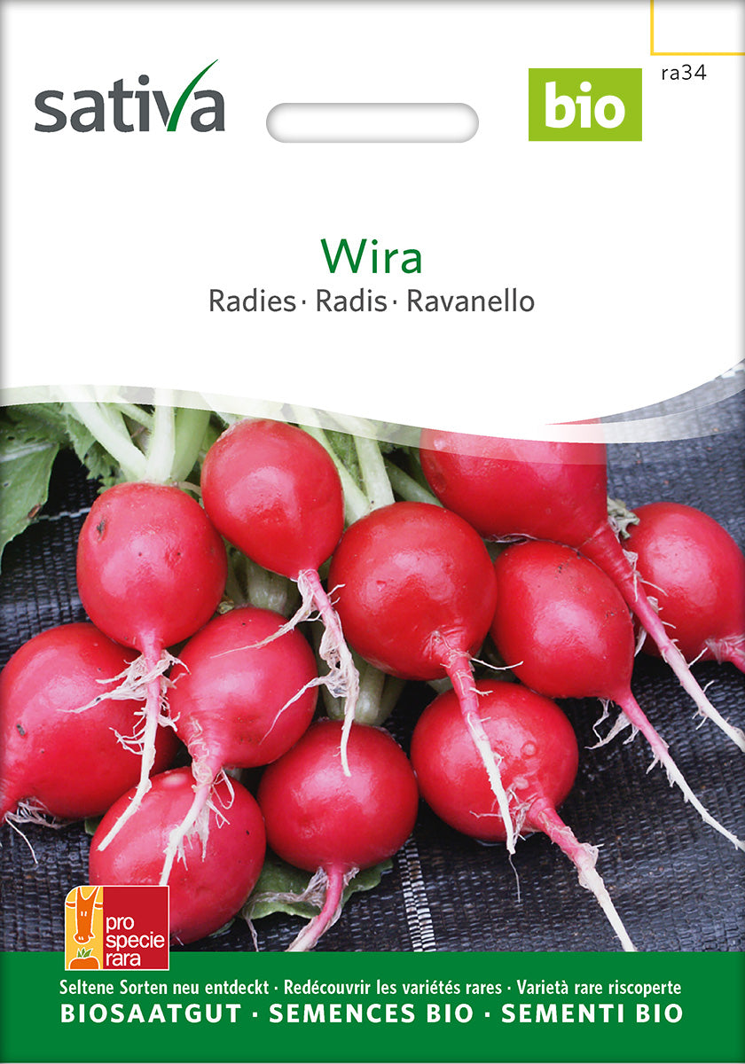 Sativa Radies Wira