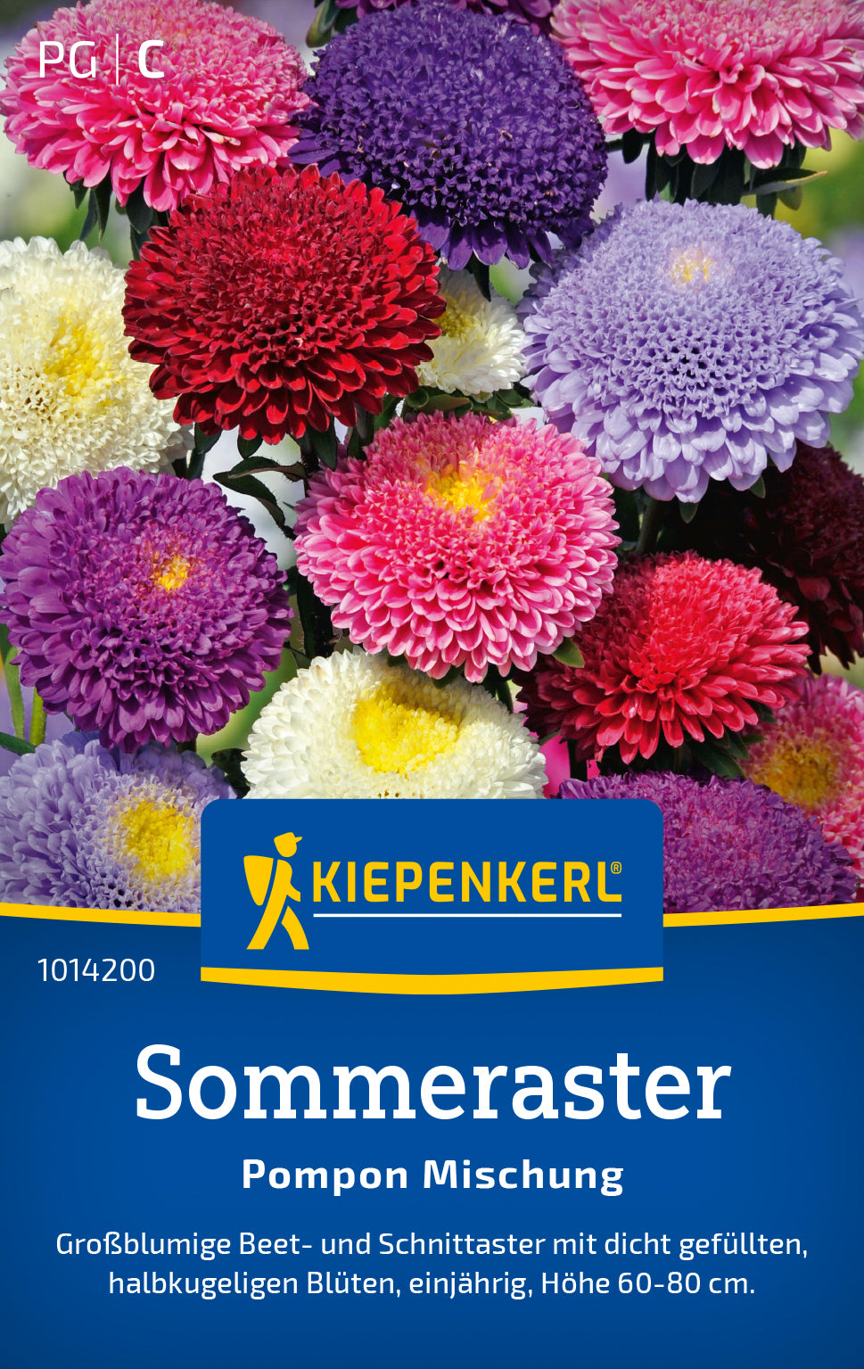 Kiepenkerl Astern Pompon Mischung