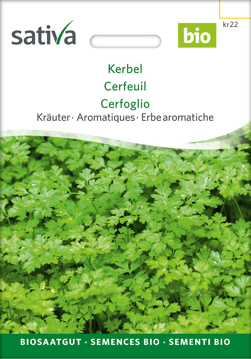 Sativa Kerbel