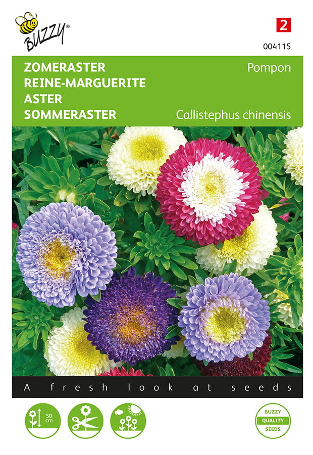 Buzzy Seeds Sommeraster Pompon Mischung