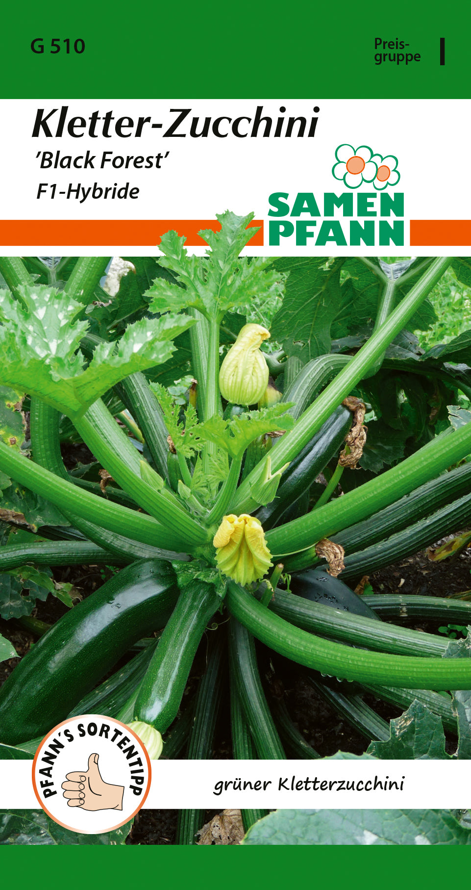 Samen Pfann Kletter-Zucchini Black Forest