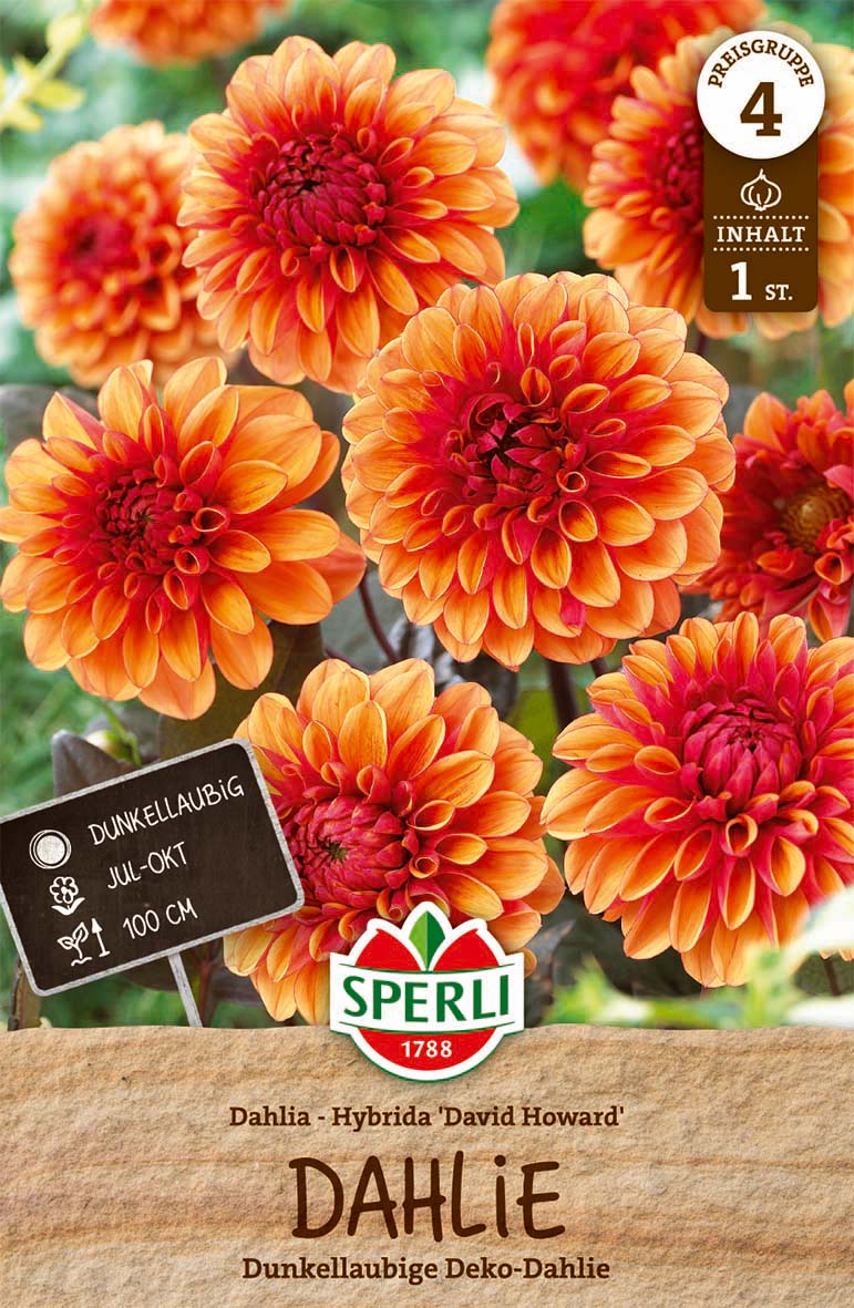 SPERLI Dahlie David Howard