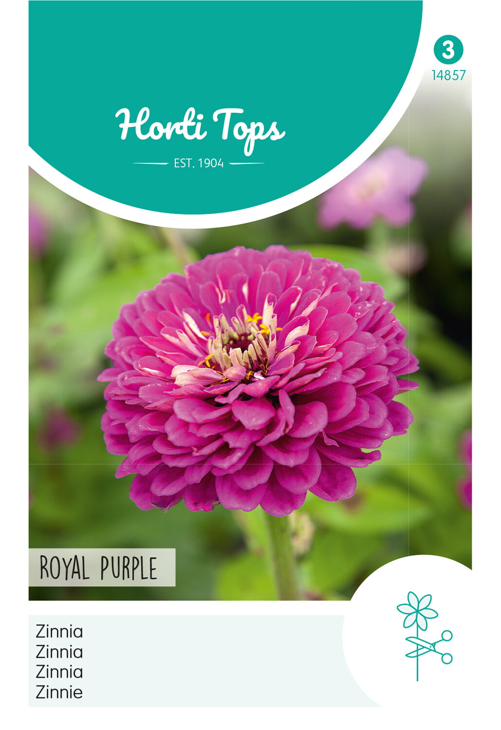 Horti Tops Zinnie Elegans Royal Purple Violet