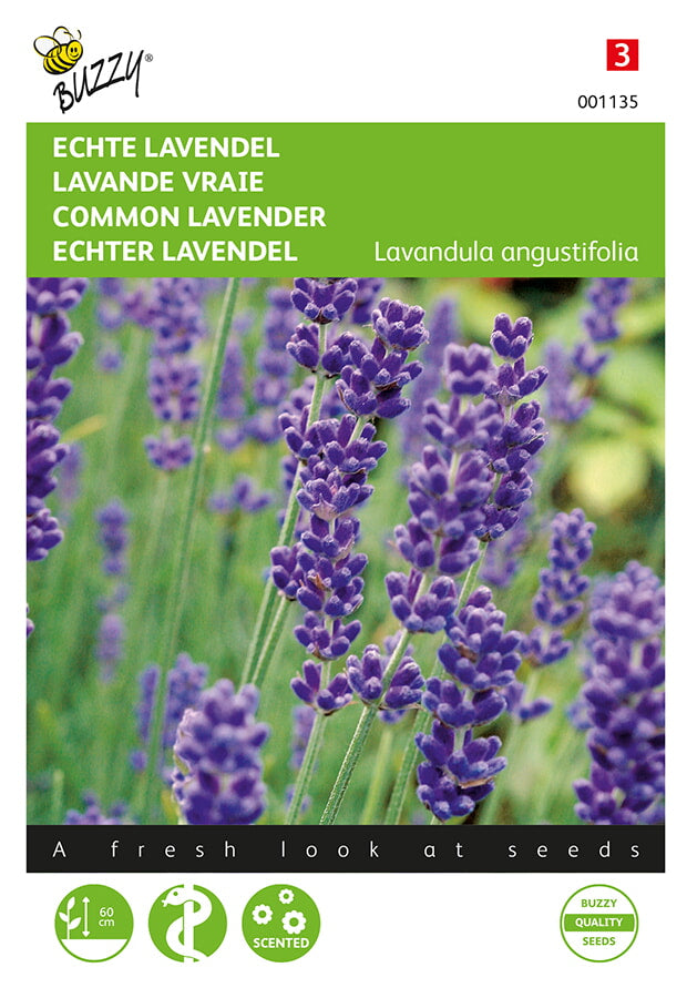 Buzzy Seeds Lavendel
