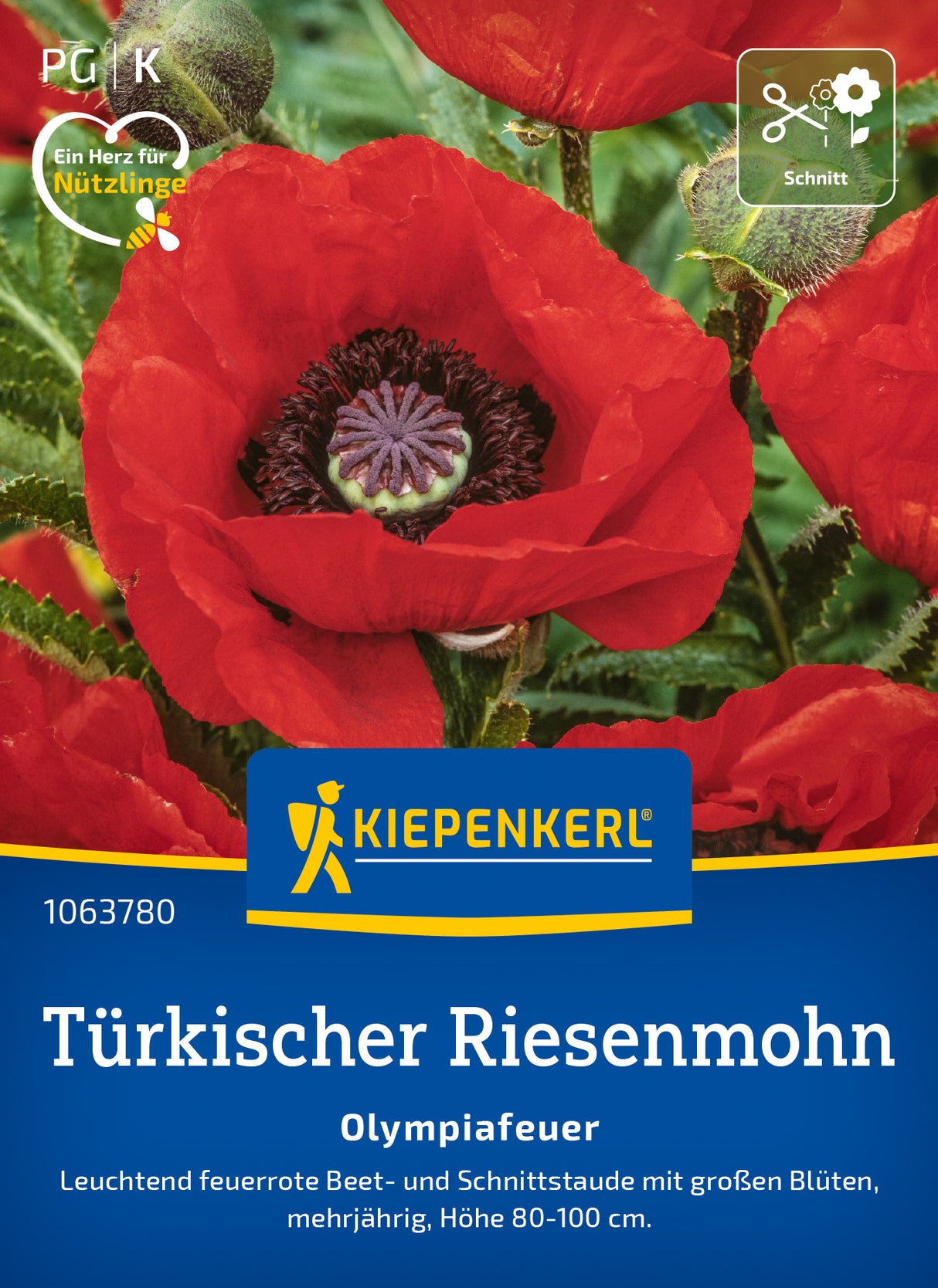Kiepenkerl Mohn Olympiafeuer