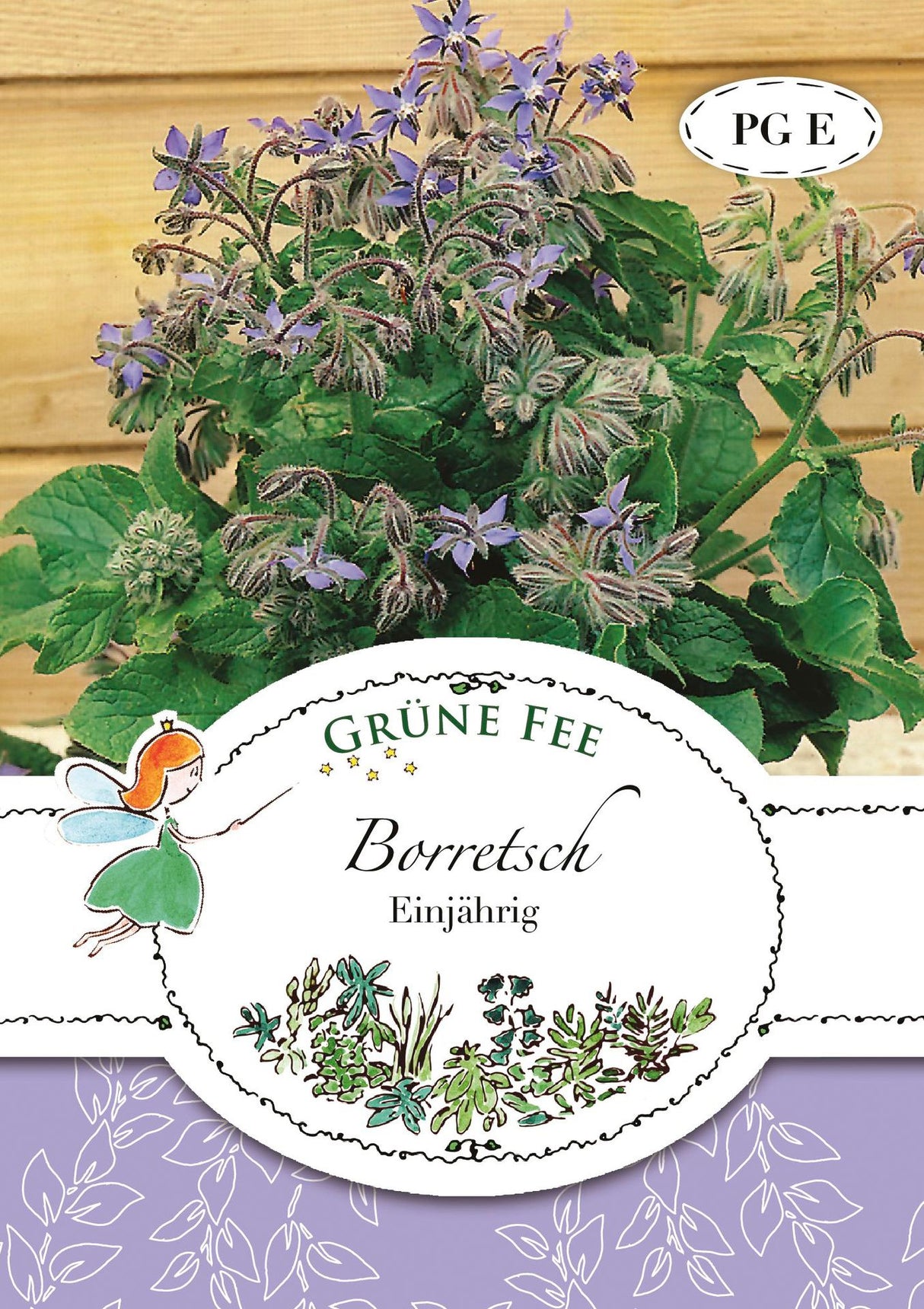 Grüne Fee Borretsch Einjährig