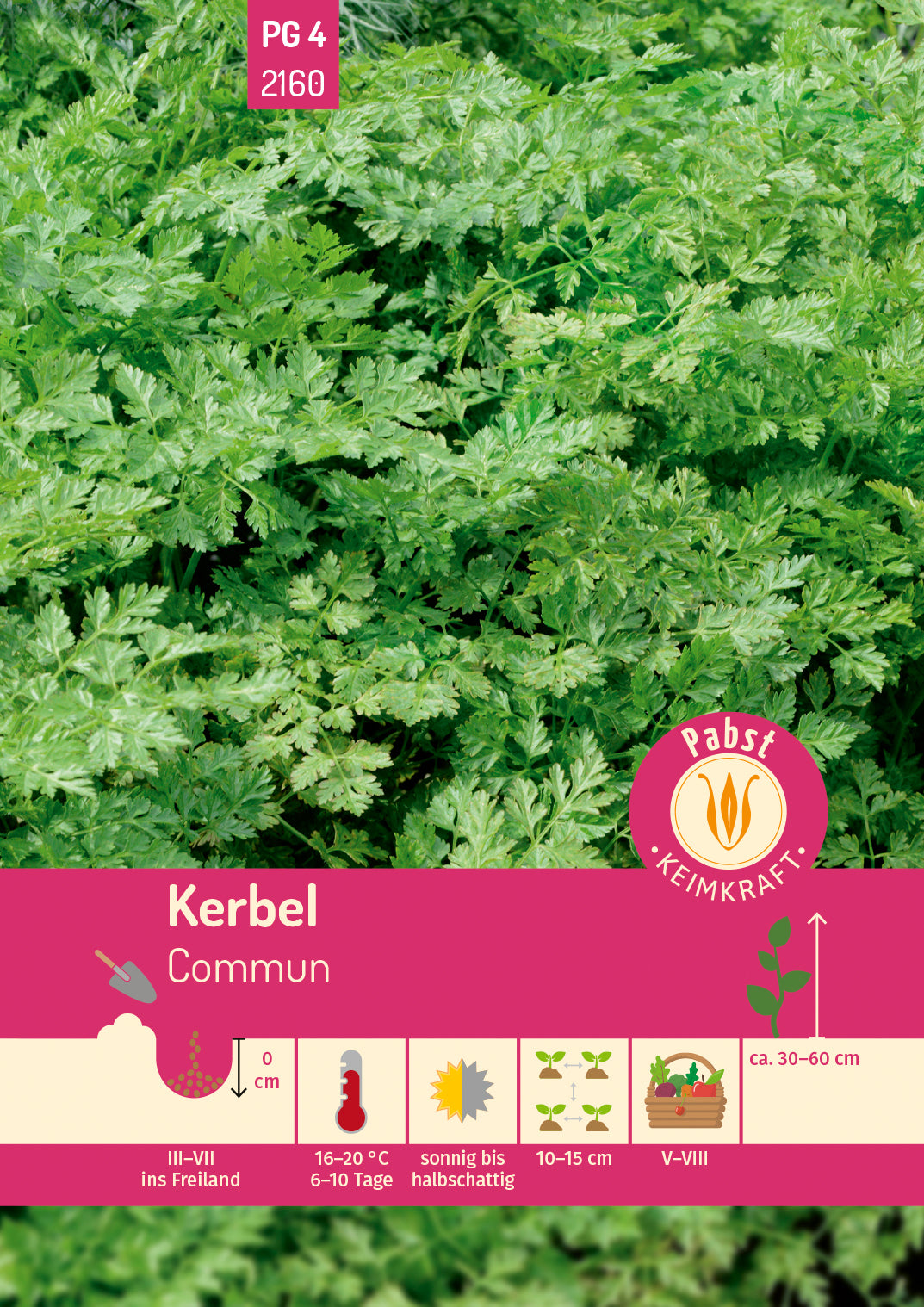 Pabst Keimkraft Kerbel Commun