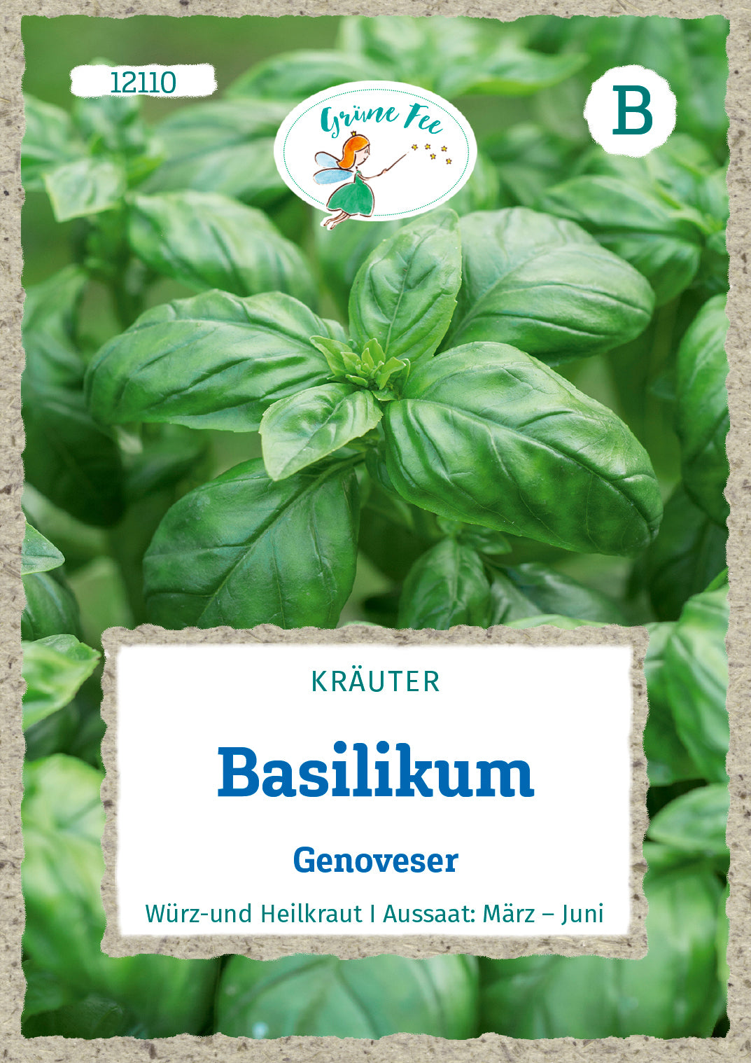 Grüne Fee Basilikum Genoveser