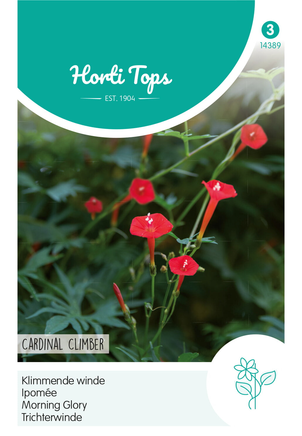 Horti Tops Trichterwinde Cardinal Climber