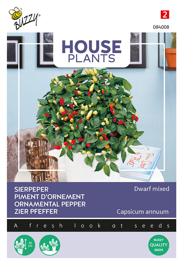 Buzzy Seeds Zierpfeffer  Dwarf Mischung