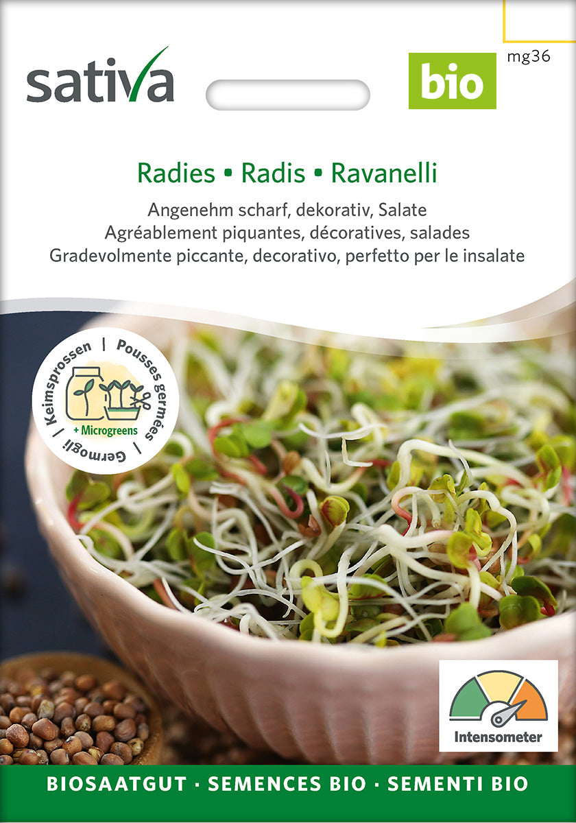 Sativa Keimsprossen Radies