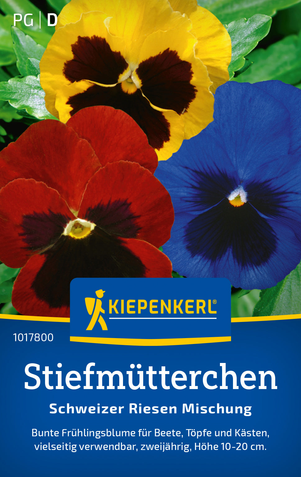 Kiepenkerl Stiefmütterchen Schweizer Riesen Mischung