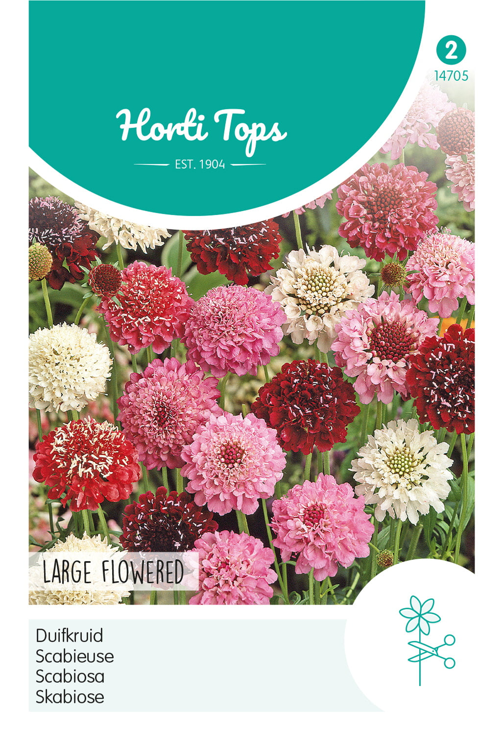 Horti Tops Skabiose Atropurpurea Hohe Gefüllte Mischung