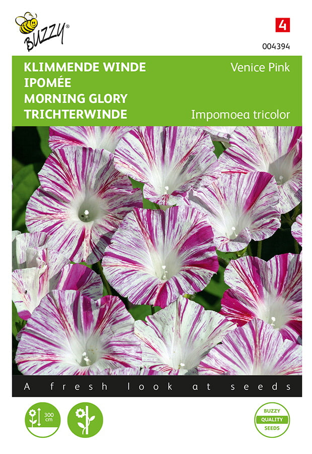 Buzzy Seeds Prunkwinden Venice Pink