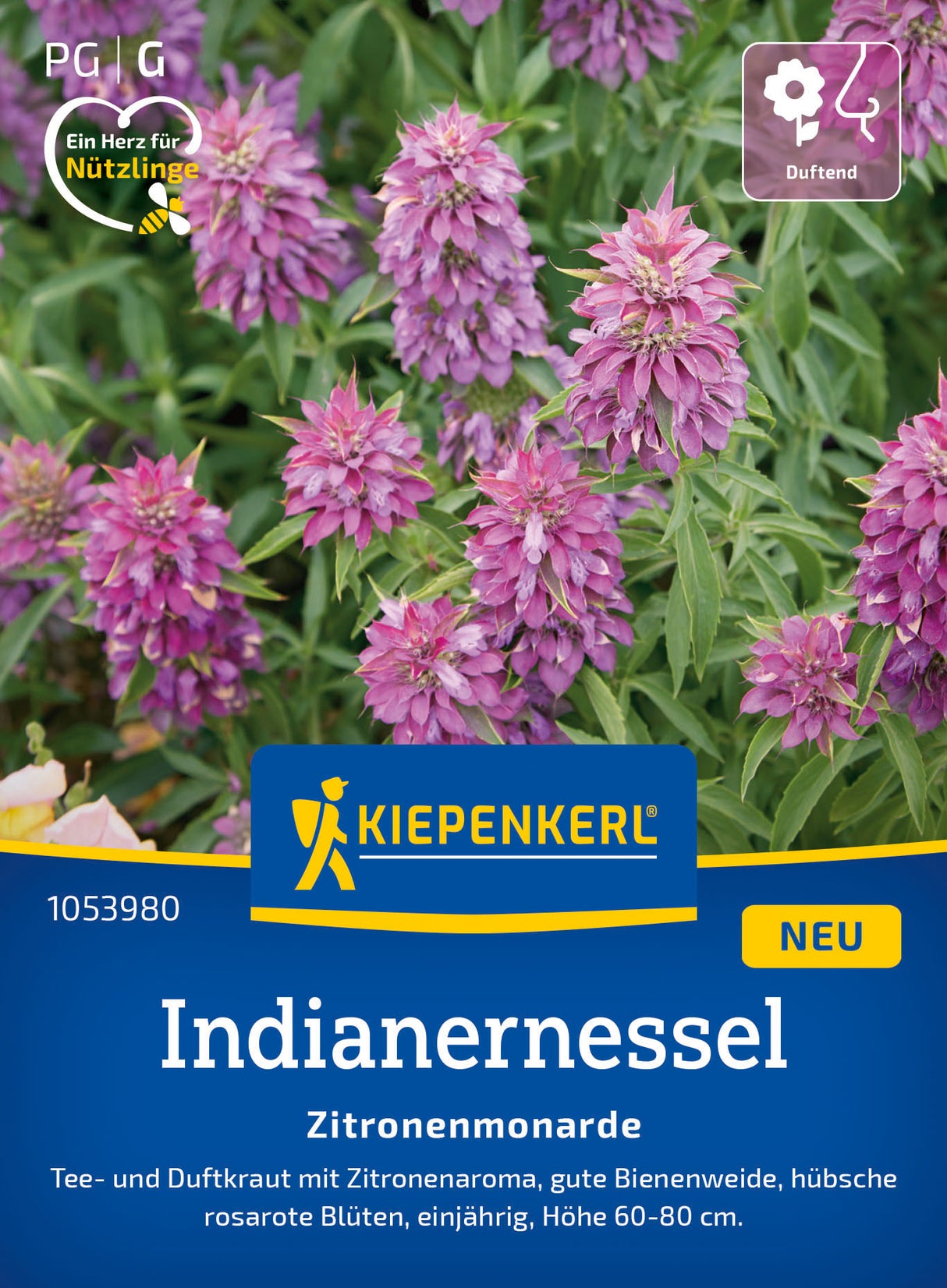 Kiepenkerl Indianernessel Zitronenmonarde