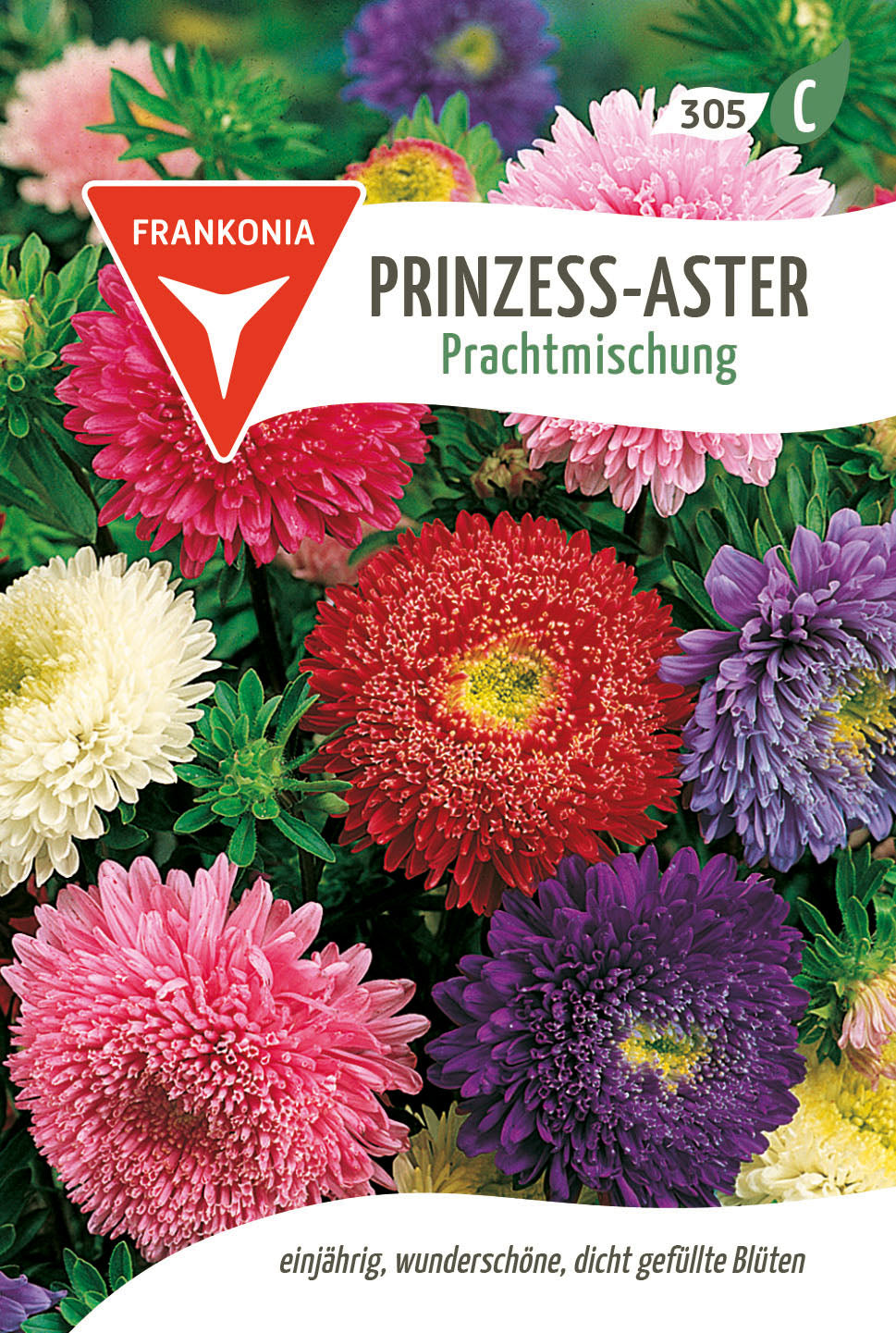Frankonia Samen Sommerastern Prinzess Prachtmischung