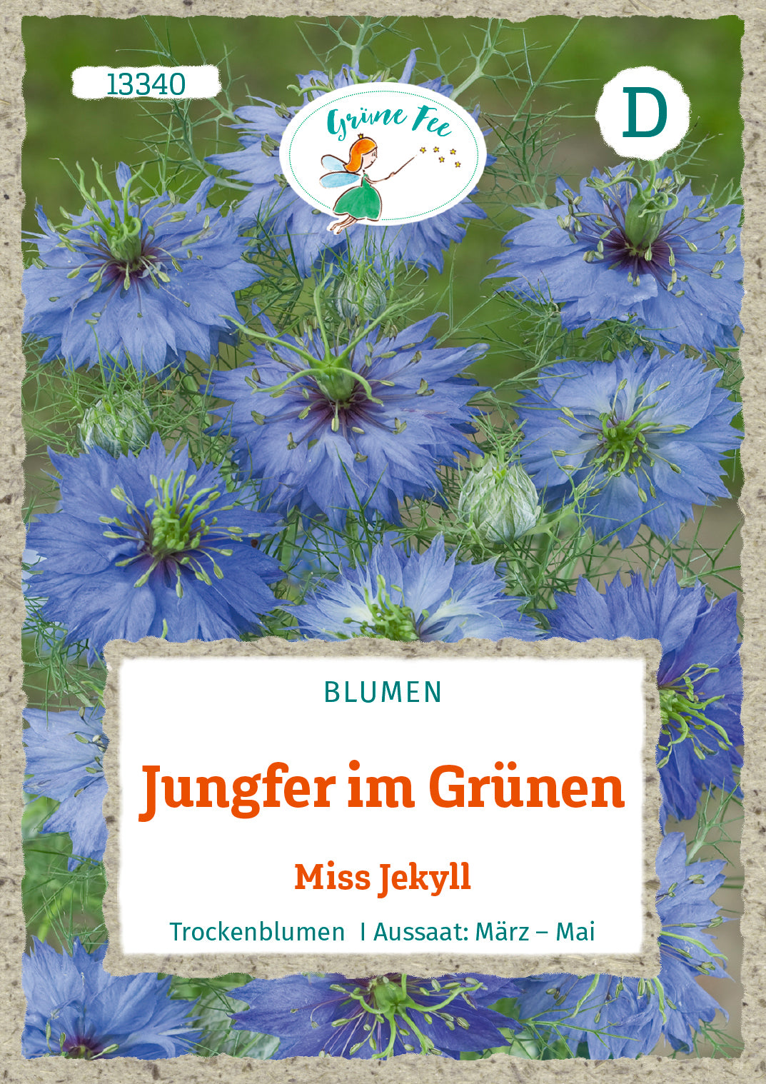 Grüne Fee Jungfer im Grünen Miss Jekyll