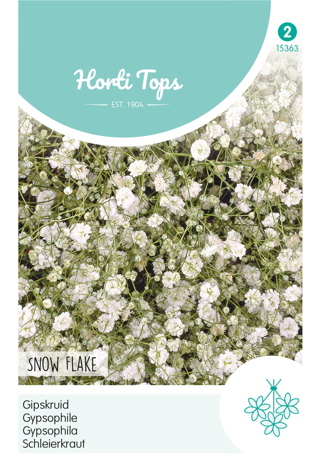 Horti Tops Schleierkraut Paniculata Schneeflocke