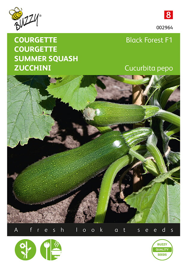 Buzzy Seeds Zucchini Black Forest F1