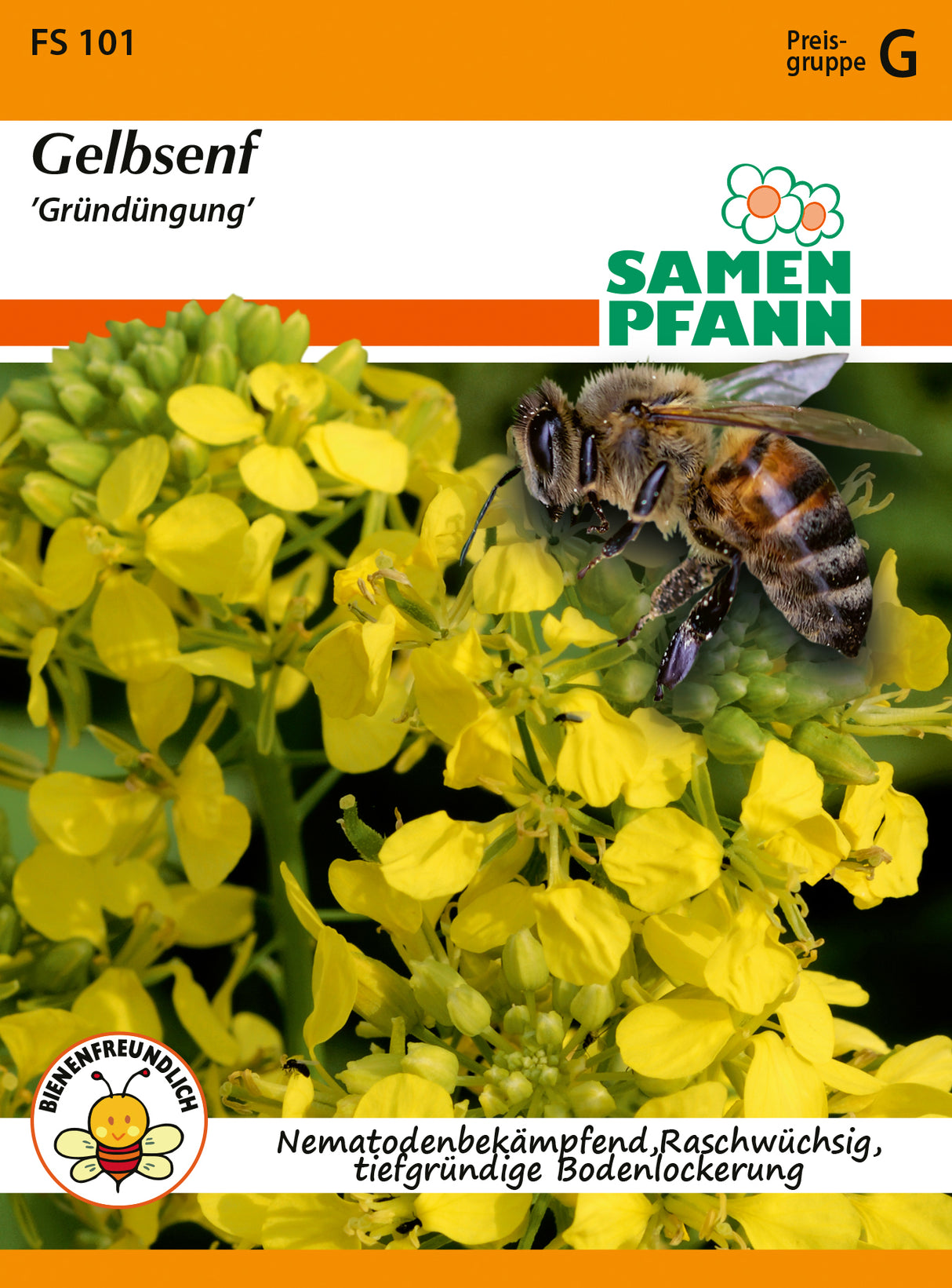 Samen Pfann Gelbsenf Gründüngung