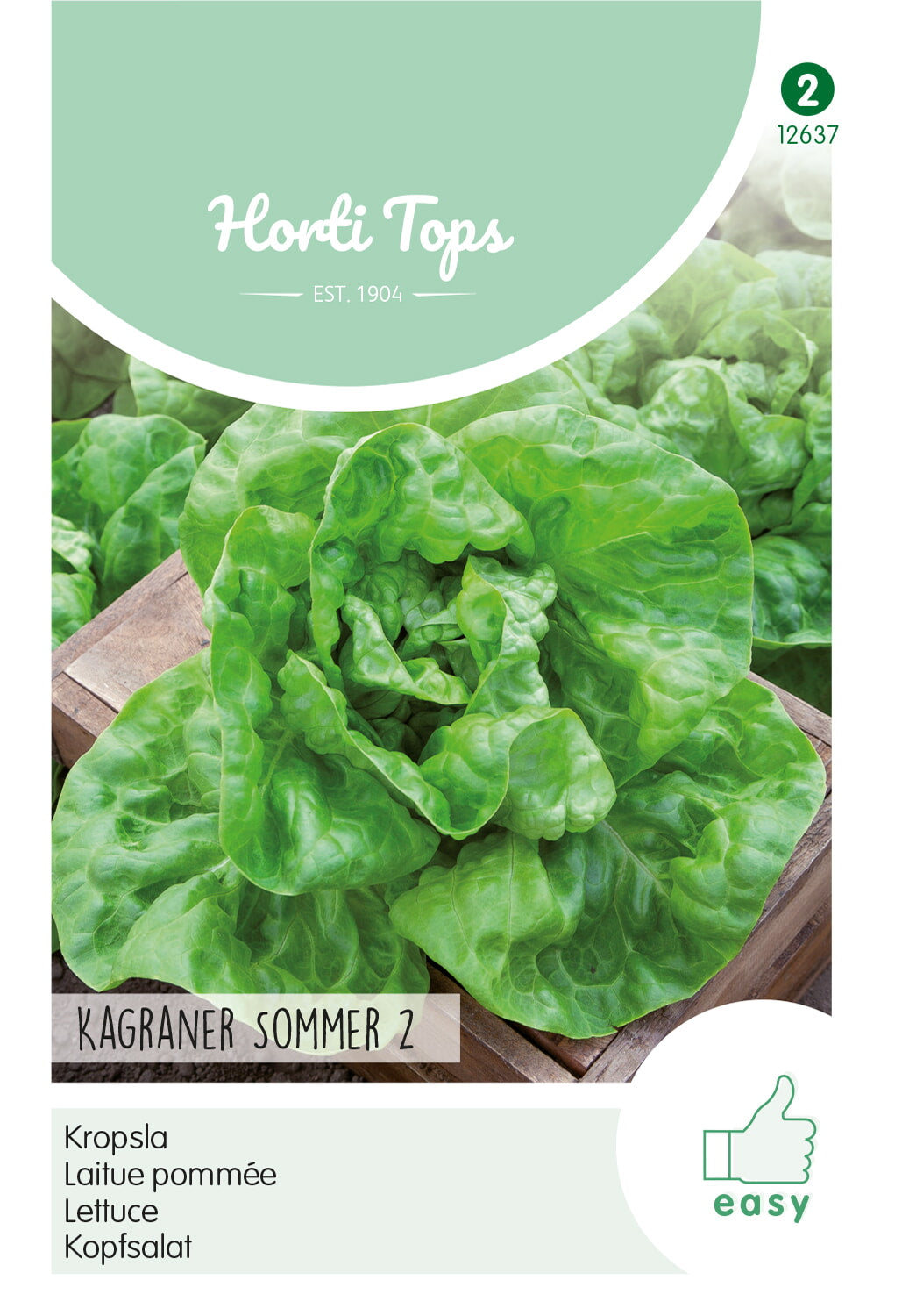 Horti Tops Kopfsalat Kagraner Sommer