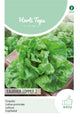 Horti Tops Kopfsalat Kagraner Sommer