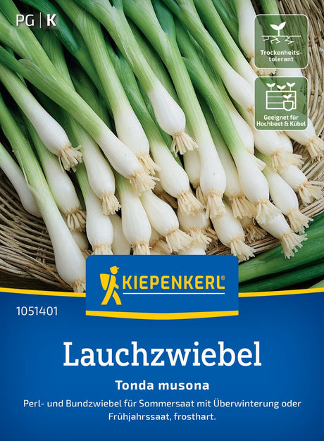 Kiepenkerl Zwiebel Tonda musona
