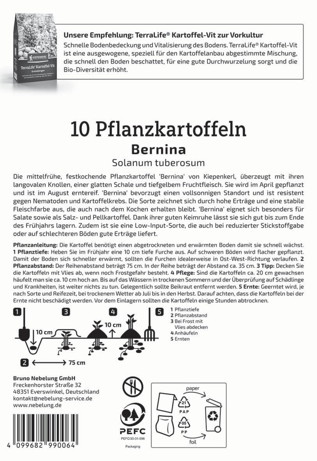 Kiepenkerl Pflanzkartoffel Bernina 10 Stück