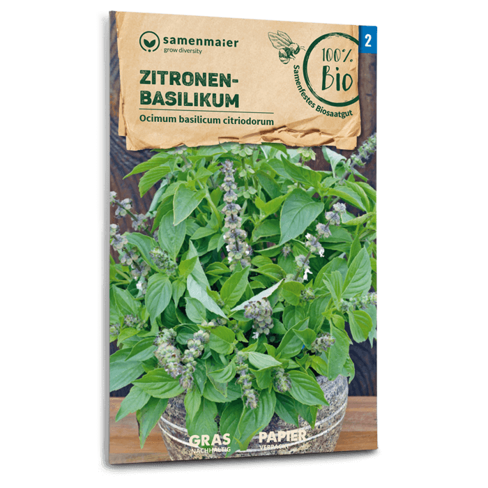 Samen Maier BIO Zitronenbasilikum